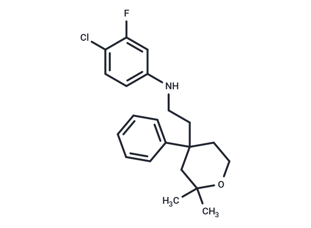 ICMT-IN-13