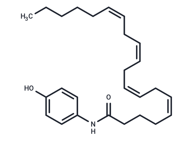 AM404