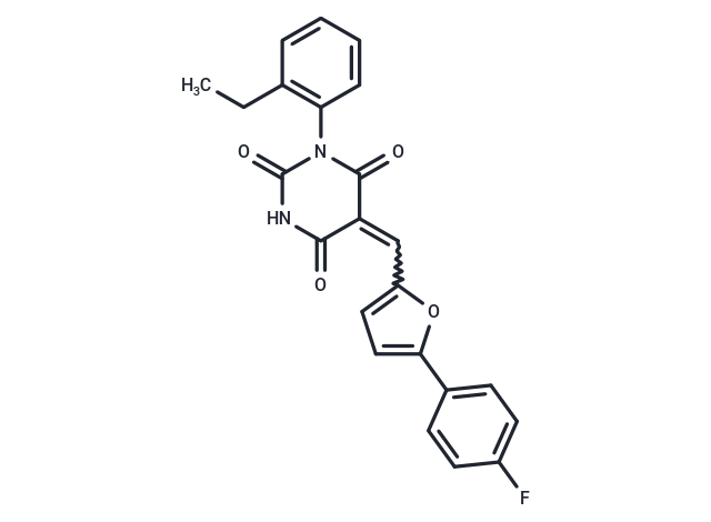 cp028