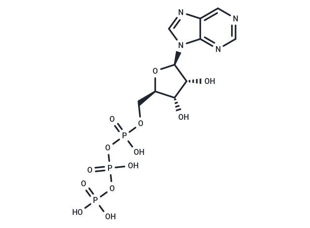 Purine riboside triphosphate