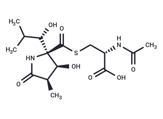 Lactacystin