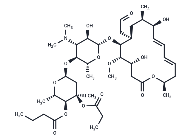 Rokitamycin