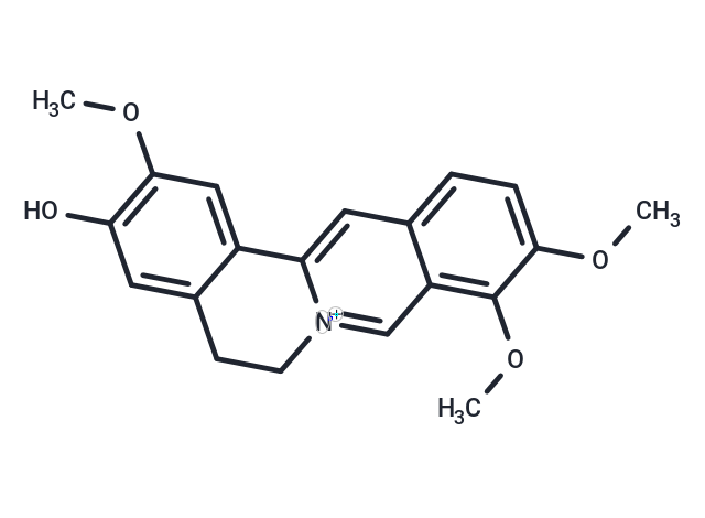 Jatrorrhizine