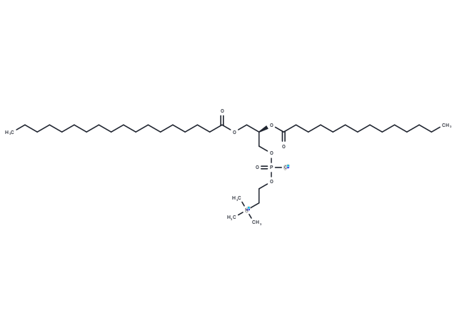 1-Stearoyl-2-myristoyl-sn-glycero-3-PC