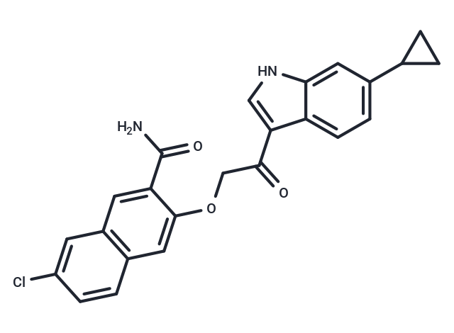 SPR-00305