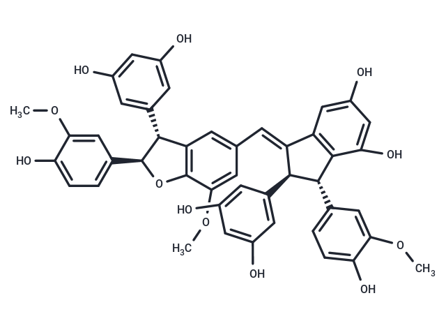 Gnetuhainin O