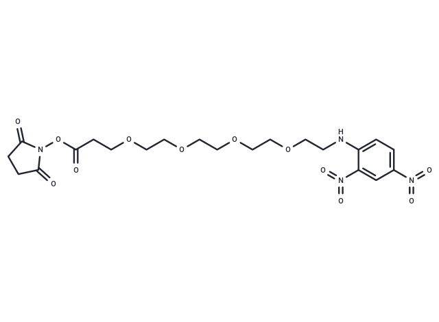 DNP-PEG4-NHS ester