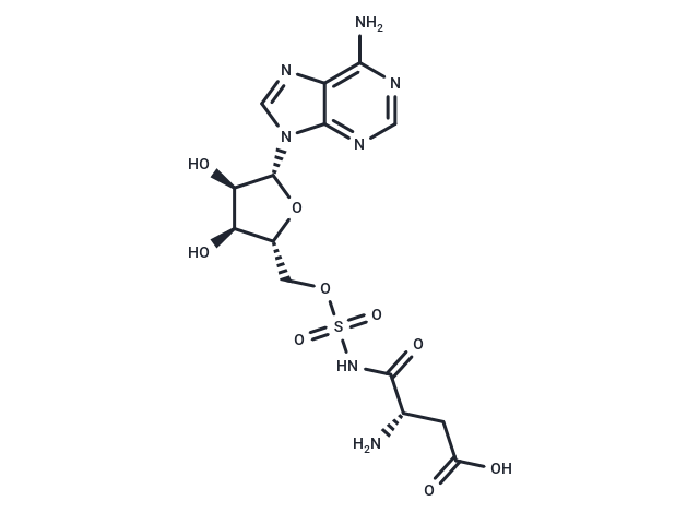 Asp-AMS