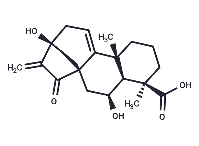 Pterisolic acid A