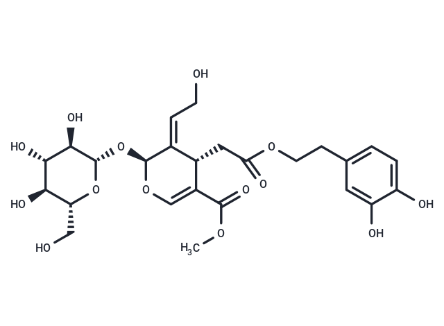 10-Hydroxyoleuropein