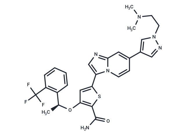 CMP3a