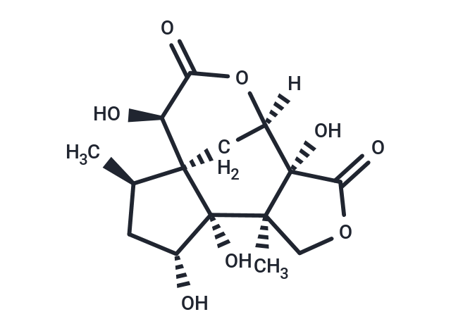 Majucin