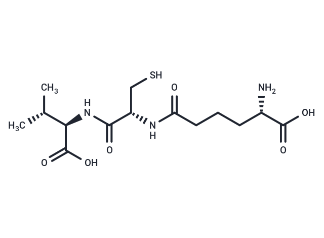 Acv tripeptide