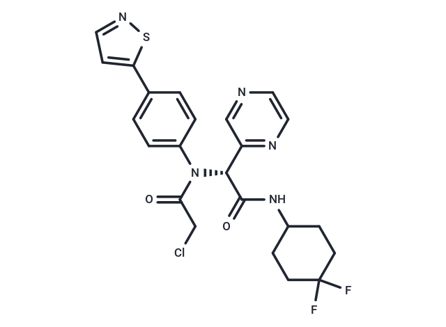 INSCoV-601I(1)