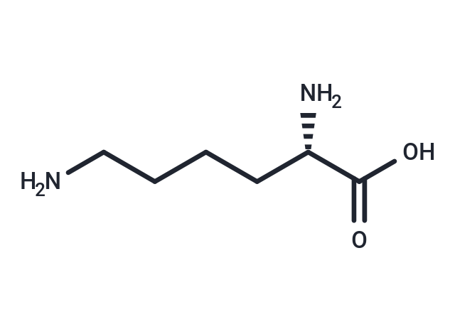 L-Lysine