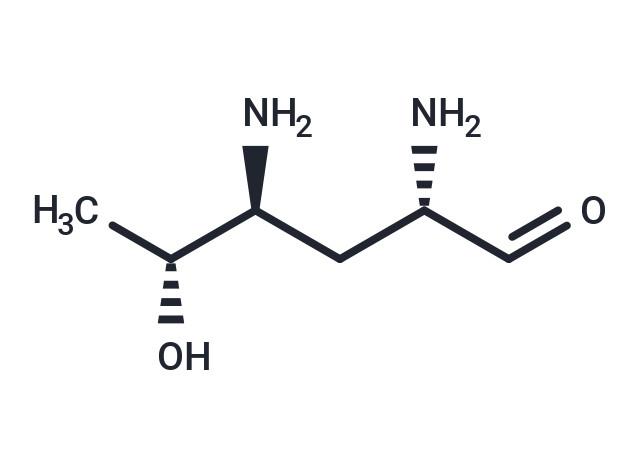 Kasugamine