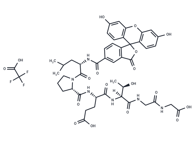 5-FAM-LPETGG TFA