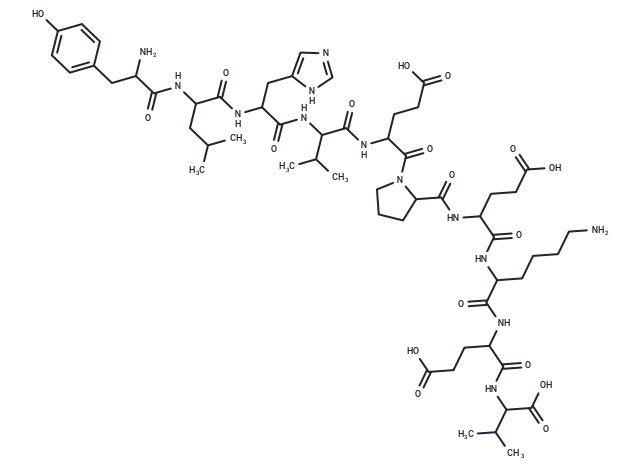 tumor protein p53 binding protein fragment [Homo sapiens]/[Mus musculus]