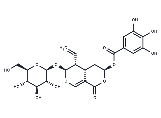 7α-Galloyloxysweroside