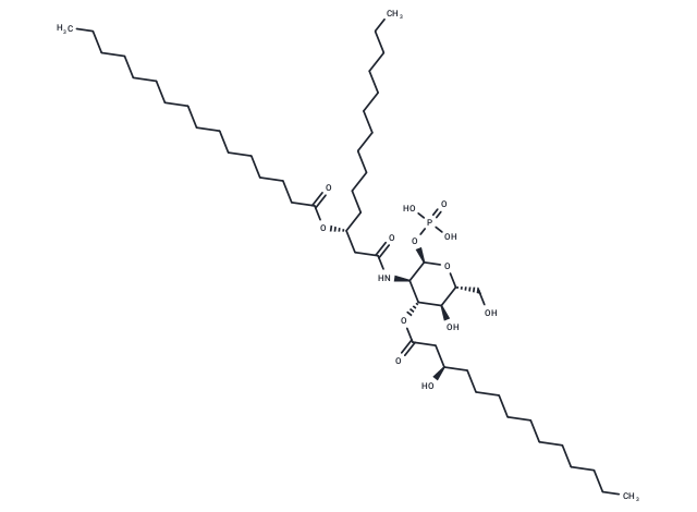 Lipid Y