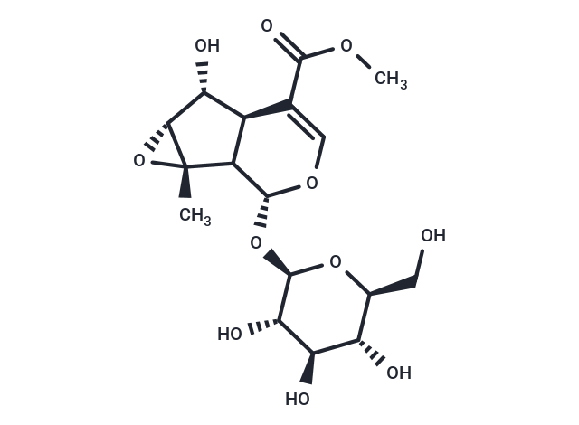 Phlorigidoside C