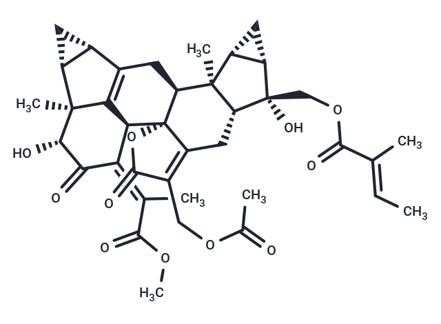 Chlorahololide D