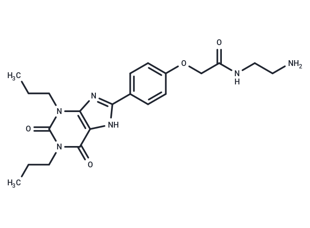 Xanthine amine congener