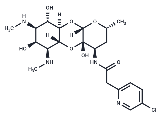 Spectinamide 1599