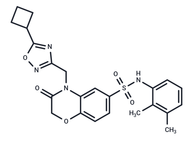 Beclin1-ATG14L interaction inhibitor 1