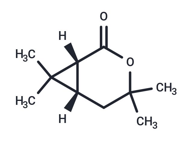 (1R)-Chrysanthemolactone