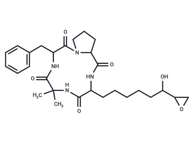 Dihydrochlamydocin