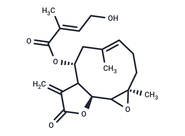 Eupassopilin