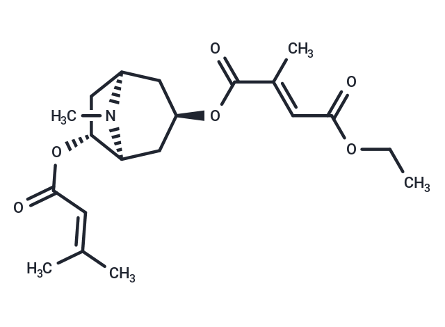 Schizanthine A