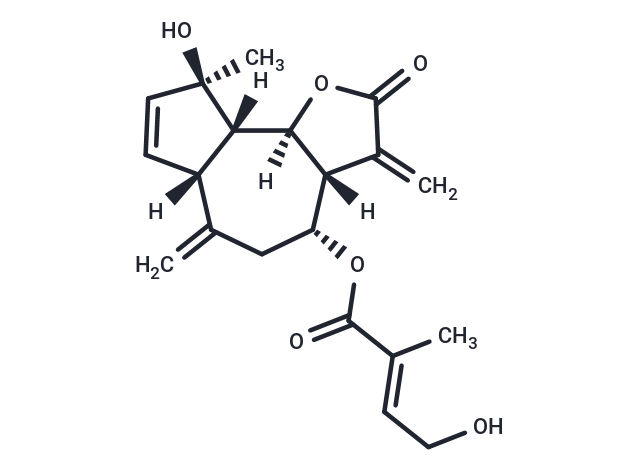 Eupalinilide B