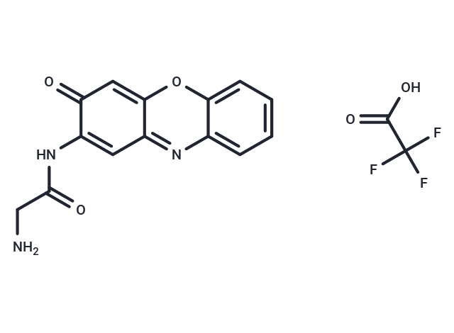 Questiomycin A derivatives 18 TFA