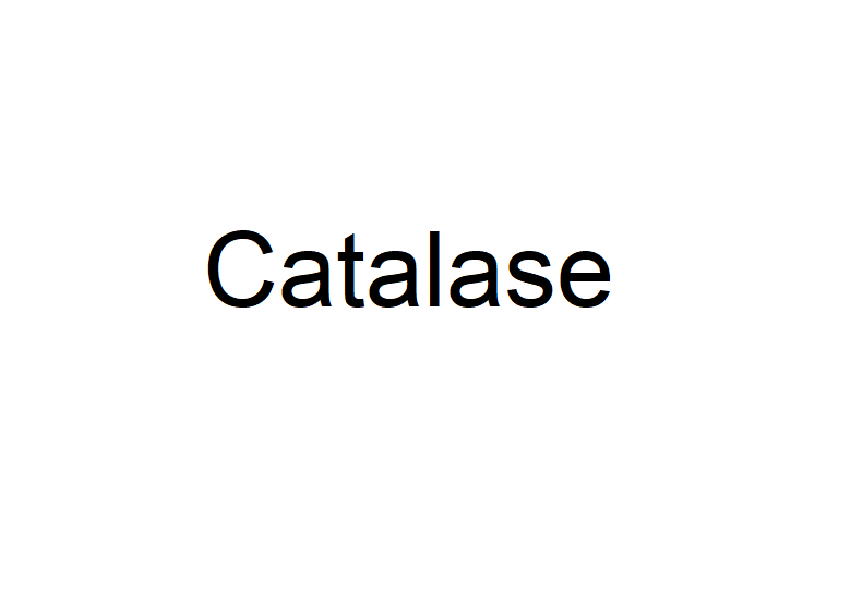 Catalase