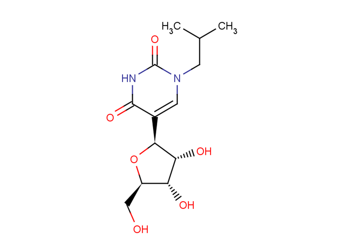 N1-(2-Methyl)propyl   pseudouridine