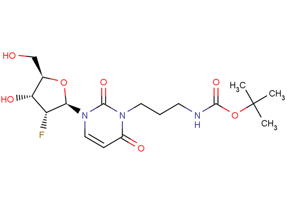 2’-Deoxy-2’-fluoro-N3-[3-(tert-butoxycarbonyl)  amino]propyluridine