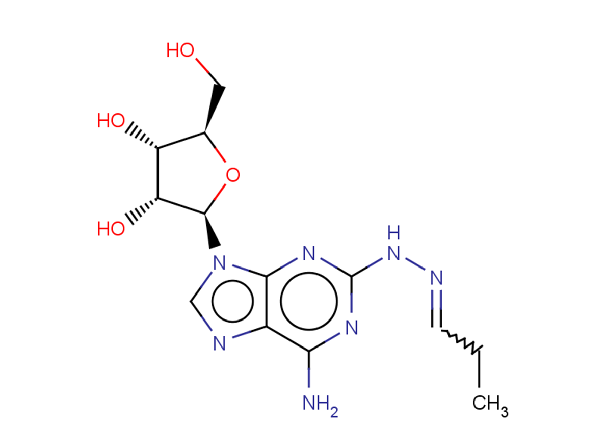 2-(n-Propylidene   hydrazino) adenosine