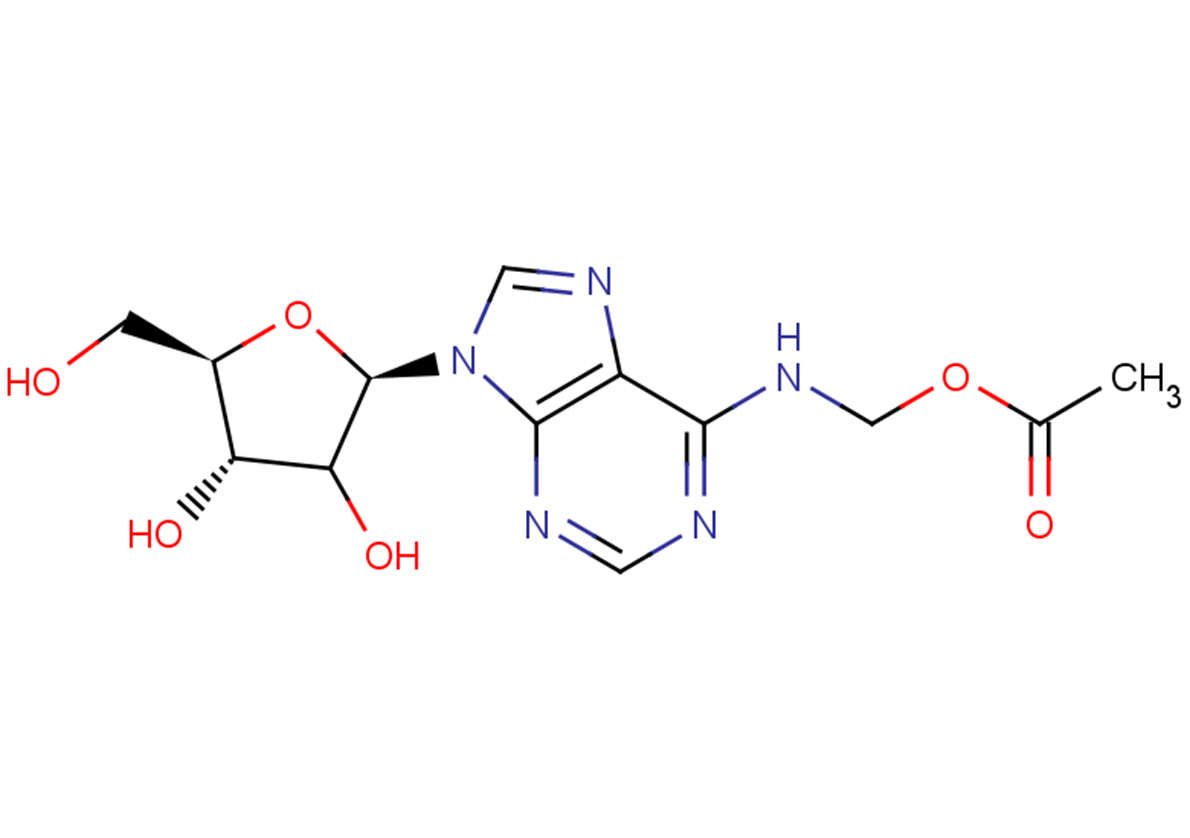 N6-Acetyloxymethyladenosine