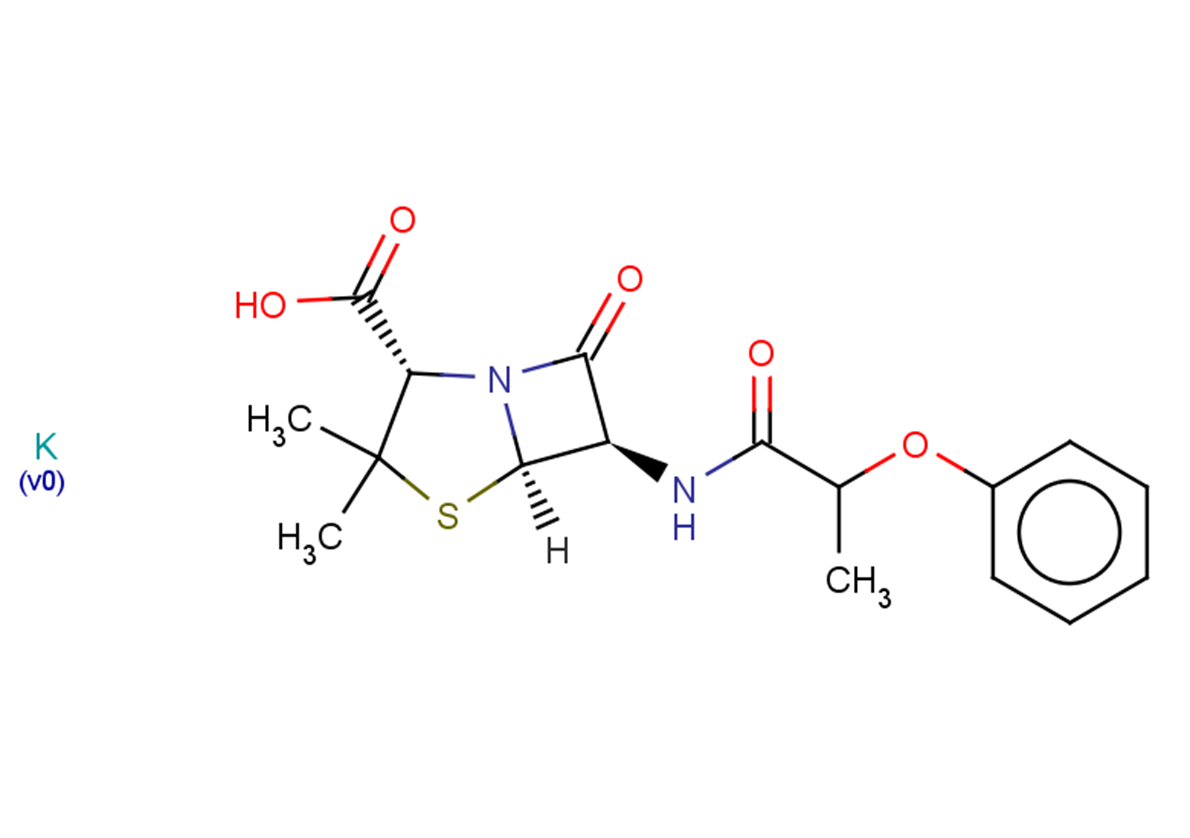 Phenethicillin potassium