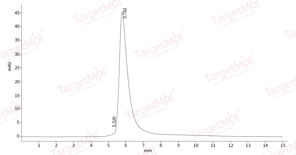 Legumain Protein, Mouse, Recombinant (His)