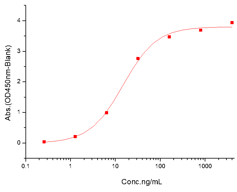 HER2/ERBB2 Protein, Cynomolgus, Recombinant (His)