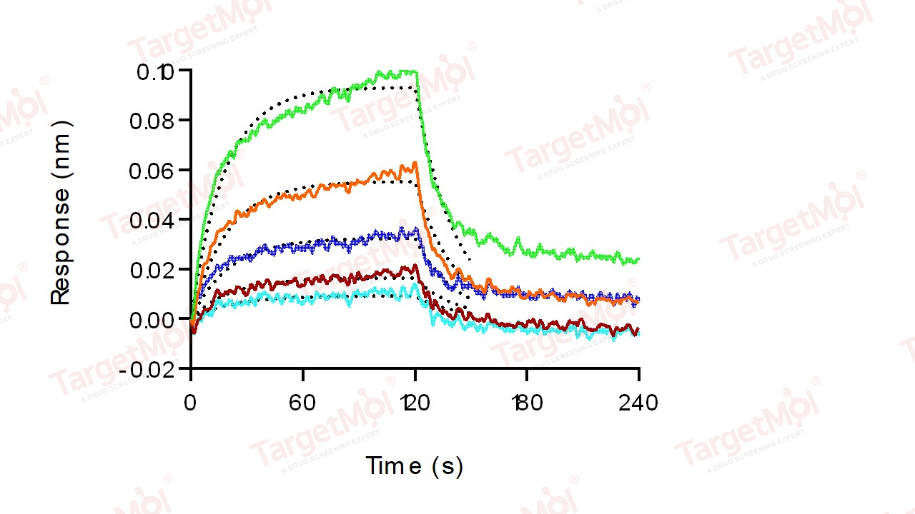 IL-6R alpha/CD126 Protein, Human, Recombinant (hFc)