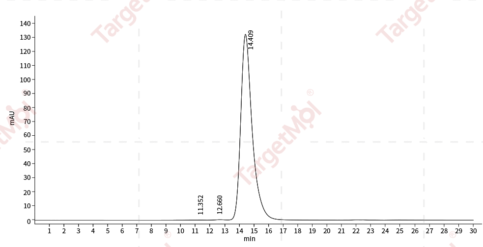 c-Kit/CD117 Protein, Human, Recombinant (His)