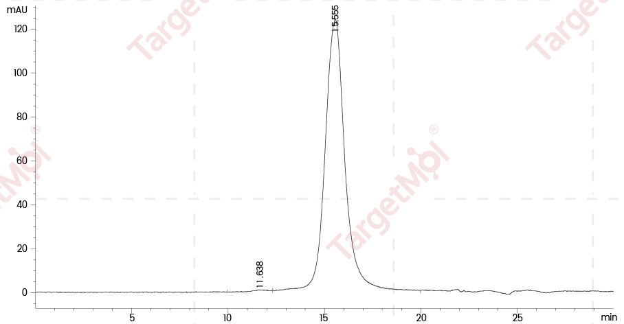 IL-T3 Protein, Human, Recombinant (His)