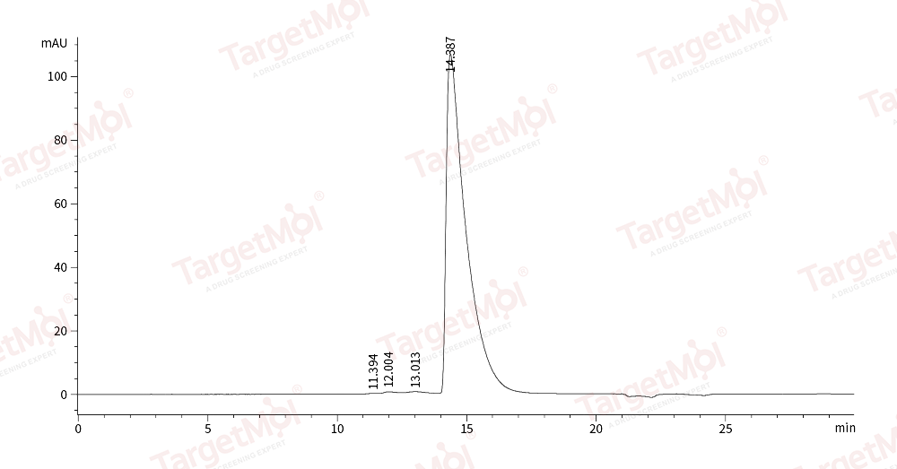 CXADR/CAR Protein, Human, Recombinant (His)