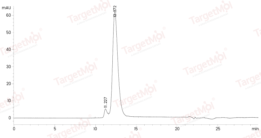 ICAM-1/CD54 Protein, Mouse, Recombinant (His)