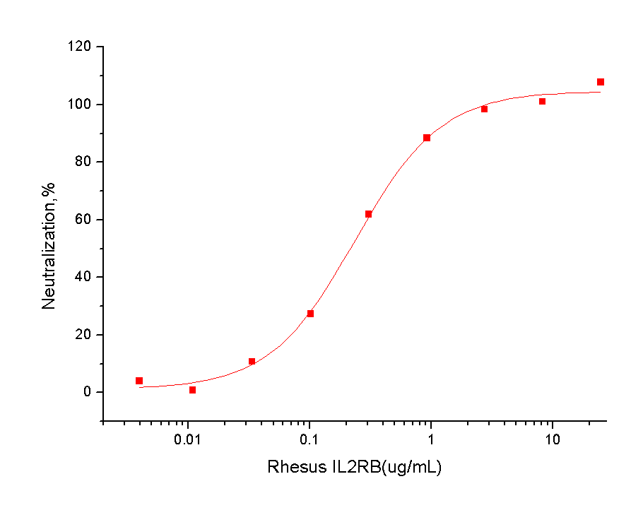 CD122/IL2RB Protein, Cynomolgus/Rhesus, Recombinant (His)