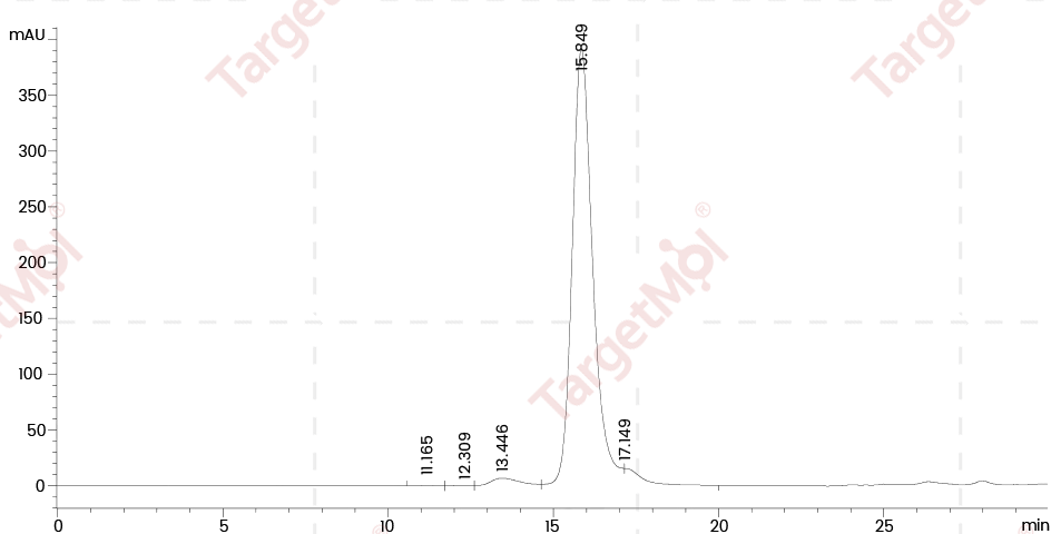 FAP Protein, Human, Recombinant (His)